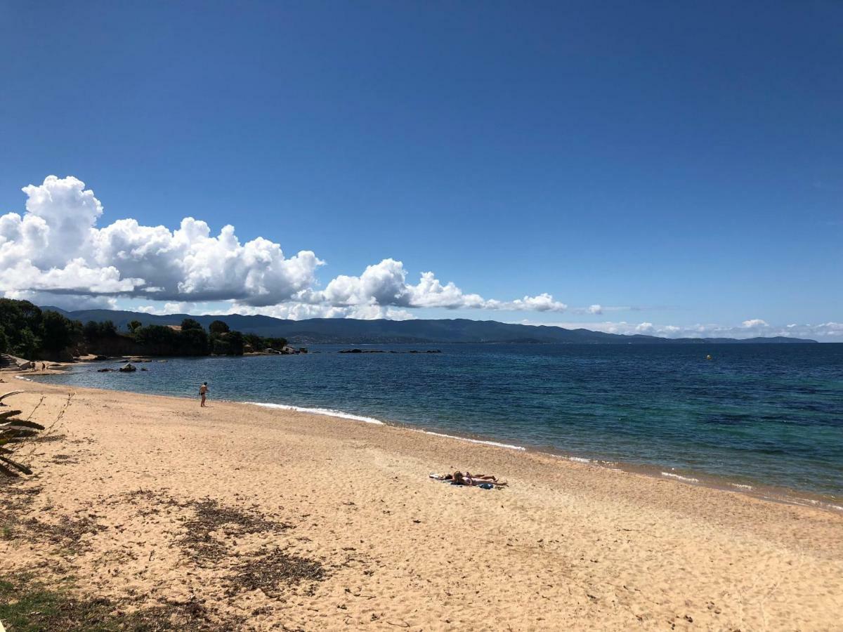 Studio Pieds Dans L'Eau Ajaccio  Eksteriør billede
